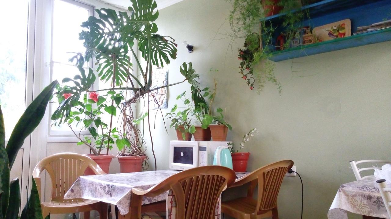 Guest House Anna Сухумі Екстер'єр фото