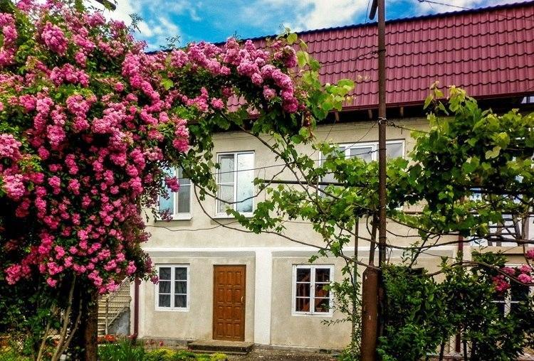Guest House Anna Сухумі Екстер'єр фото